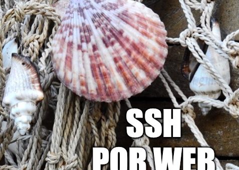 36 – SSH por web