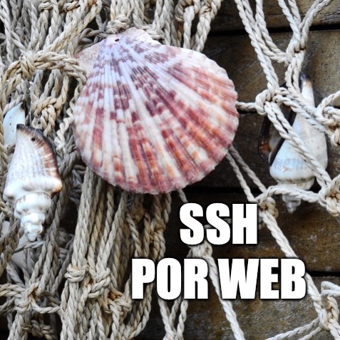 36 - SSH por web